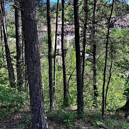 Auberge Du Bourguet Brenon Екстериор снимка