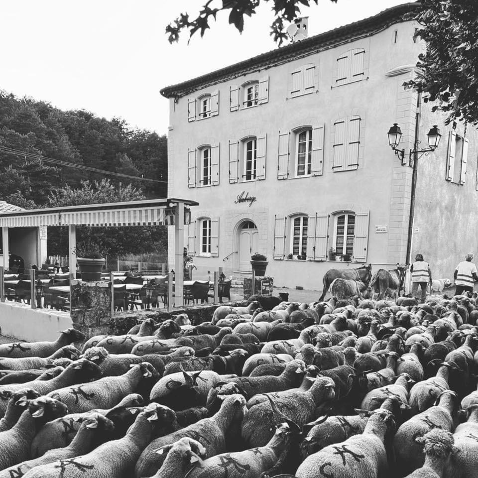 Auberge Du Bourguet Brenon Екстериор снимка